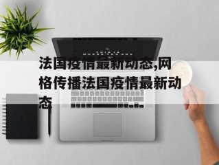 法国疫情最新动态,网格传播法国疫情最新动态