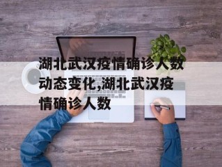 湖北武汉疫情确诊人数动态变化,湖北武汉疫情确诊人数