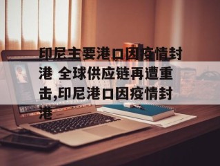 印尼主要港口因疫情封港 全球供应链再遭重击,印尼港口因疫情封港