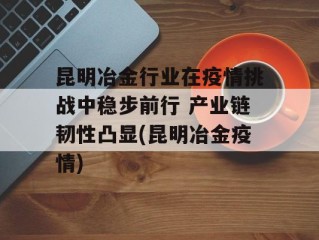 昆明冶金行业在疫情挑战中稳步前行 产业链韧性凸显(昆明冶金疫情)